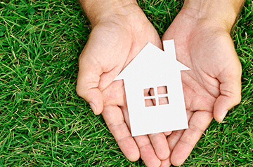 Phân phối dự án